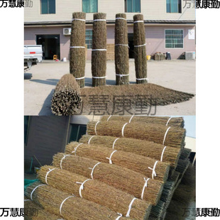 ���֦����b����Խz����h�ʇ����r������ͥԺ�ř���֦�l����