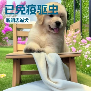 ���N��ëѲ��Ȯ�����o�lȮ����Ȯ������w�����Ѿ�Ȯ����Ȯ��HȮ