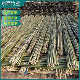 竹木藤苇干草;其他农业;温室、大棚