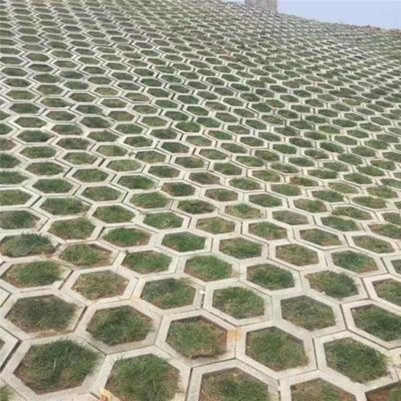 内蒙古呼和浩特六角护坡砖生态连锁砖六棱块六棱砖植草砖透水砖工