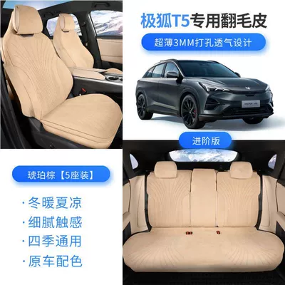 Seat Cushion, Seat cushion, seat cover - brown-basic-model-backrest-side-bag-jihu-t5-26-models