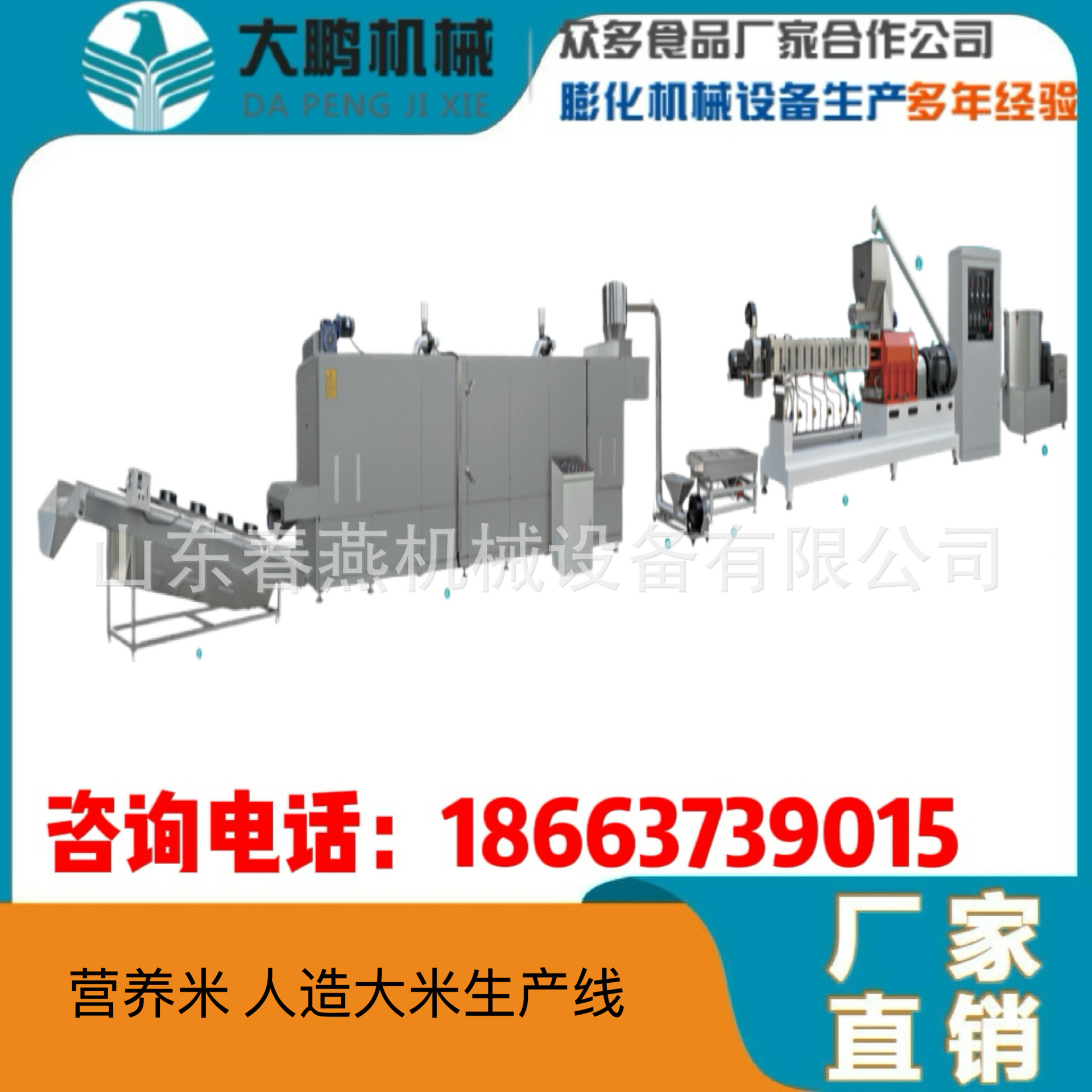 DP100-II营养米、人造米速食米（自热米饭）生产线 膨化食品设备