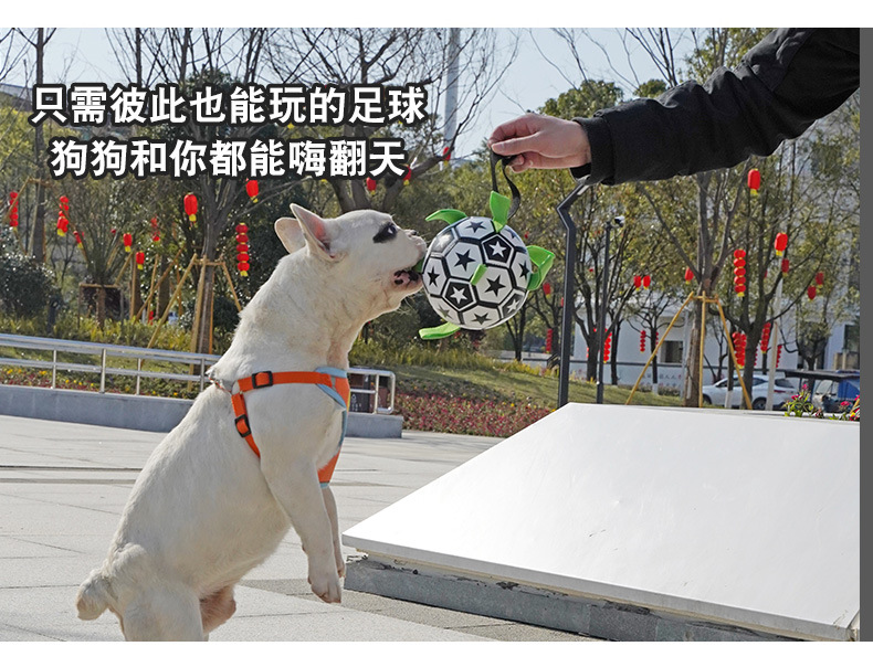 详情-1688-换图_06