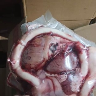 ţ�ތ����ţ���ش�ţ��ţ��ţ��ţ����ȫ�Ҝ����ʳ�����ó��a