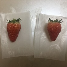 ��ݮ�״�Ϟ��������ˮ���B�x���Ҵ�Ϟ����������������܇���Ӱ��]