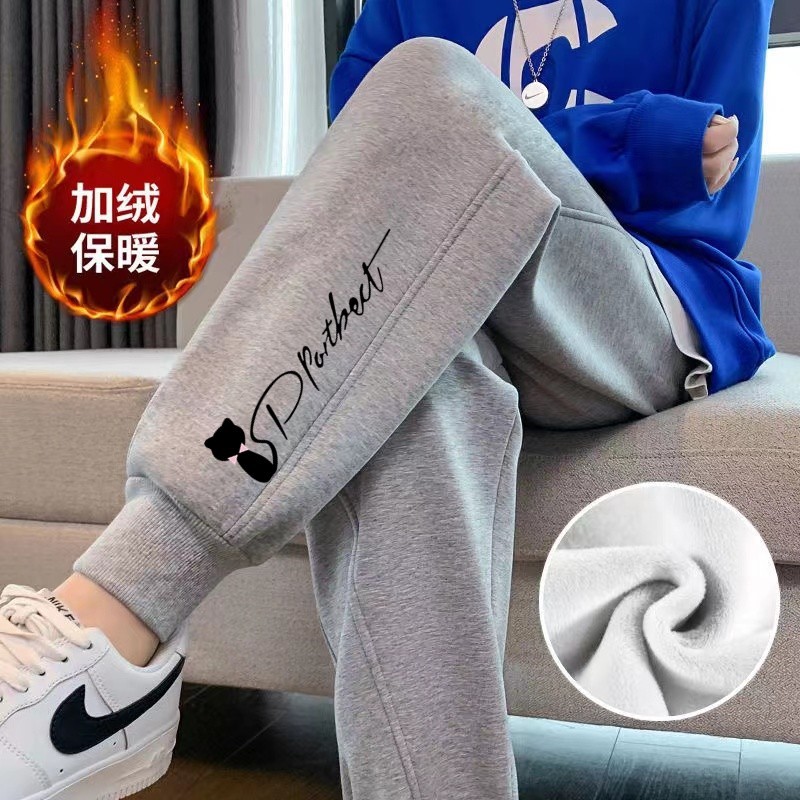 작은 검은 고양이 나사 입 회색 바지와 벨벳