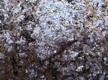 Ȼ[Ƭʯī32Ŀ99̼BmT~ұøߜظw