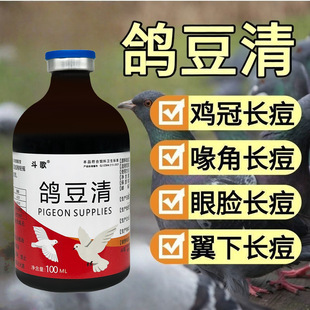 ���ӌ������������������_�������۽�צ�������_����������������