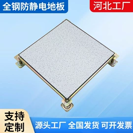 钢地板;铝天花;防静电板