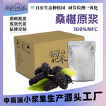 源头工厂家 桑葚原浆各种水果原汁小浆果汁原料批发 现货可寄样