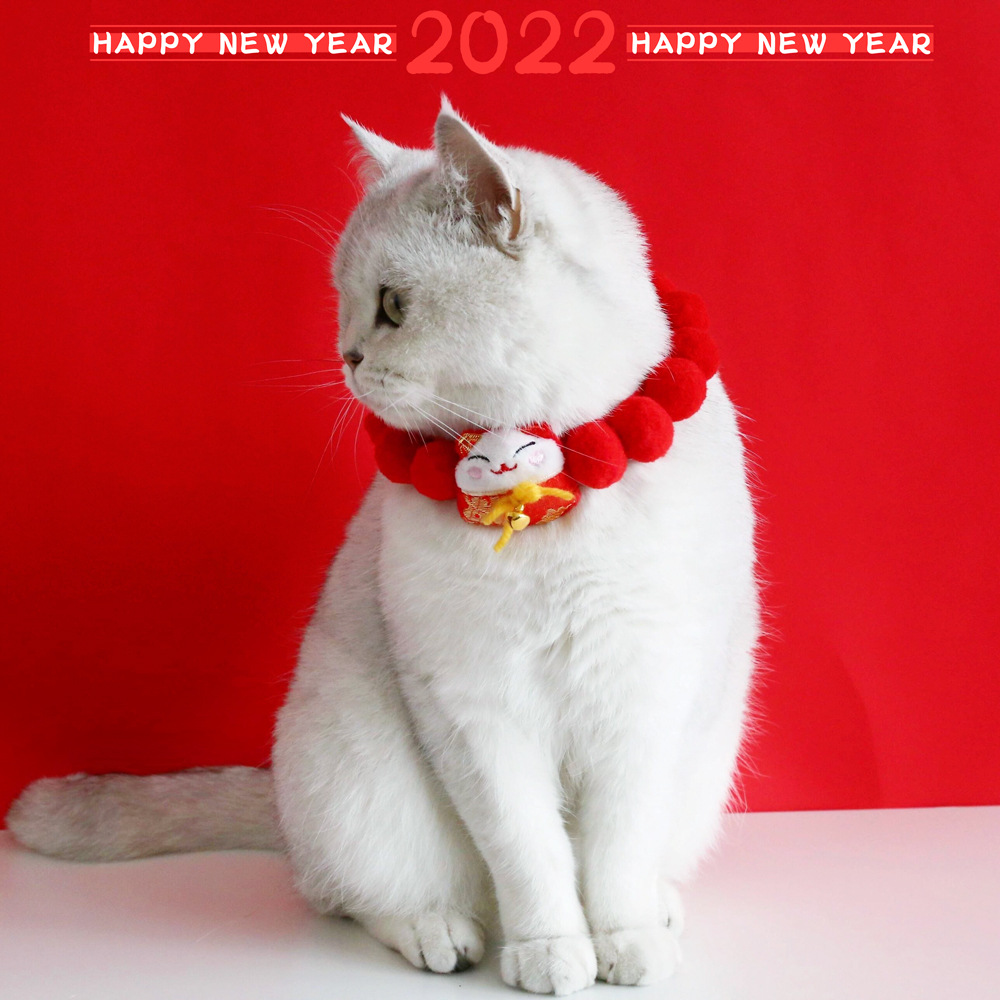 QQ图片20211222132134