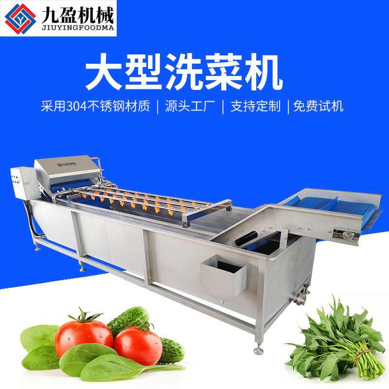 九盈JY-5200大型洗菜机 不锈钢喷淋式蔬菜清洗机整颗菜气泡清洗机