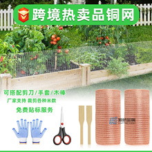 贴标代发跨境亚马逊127mm宽铜网 防虫鼠紫铜气液过滤网编织过滤网