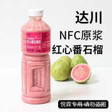 达川NFC红心番石榴原浆冷冻红芭乐非浓缩果汁咖啡奶茶店茶饮原料