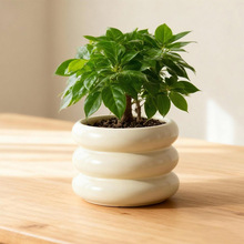 �F؛���l�����մɻ�������҃Ȼ���С������������ȦС�[���羳��