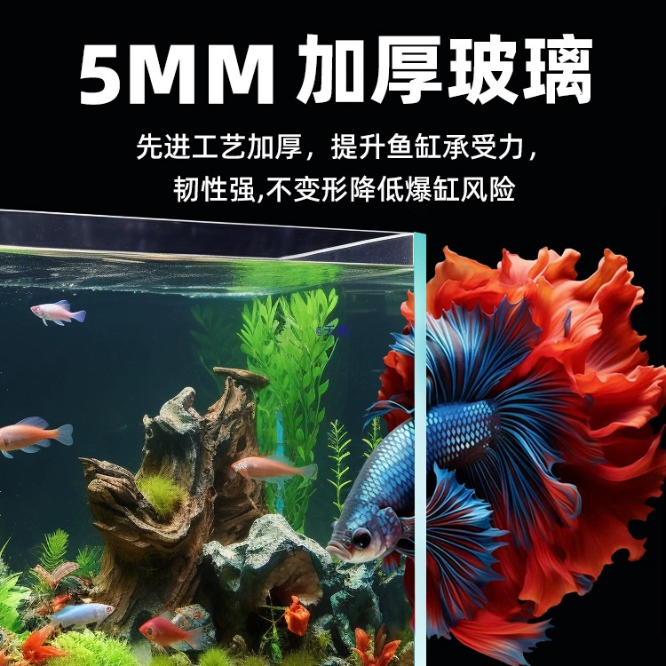 Aquarium glass tank, ultra-white (Jinjing) rectangular, multiple sizes, 4–6 mm thickness