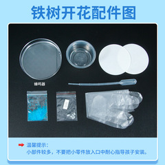 科學實驗diy鐵樹開花科技小製作兒童手工學校化學置換反應 材料包