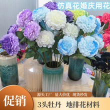 �¿����^�ʵ�ĵ�����滨��̖�\��ĵ�� ��c�bҾӔ[�O ��ˇ�ٻ�