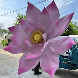 �ļ�����eva��ĭ��ˇ�ɻ����D�zӰ���ͺɻ��̈�����b�Ӳ���