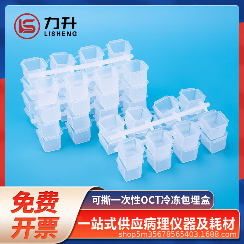 可撕一次性OCT冷冻包埋盒 冰冻切片包埋模具石蜡切片包埋模具一共