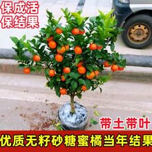 �o��ɰ���٘��箔��Y���m���Ϸ������Nֲ�������۽������҃ȹ���