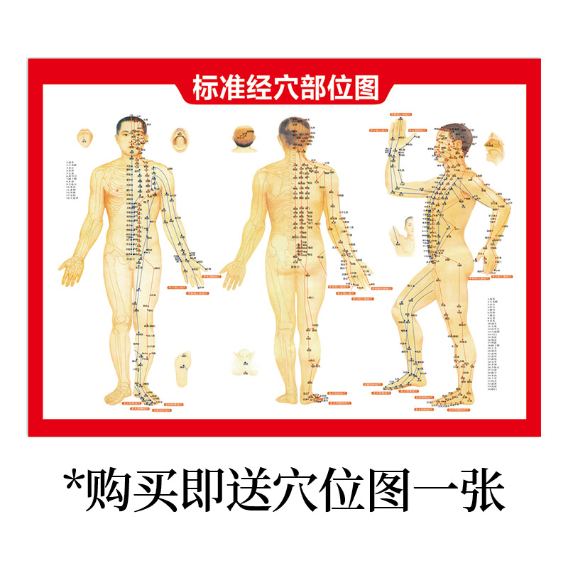Mugwort Sanfu Patch Hong Kong Kowloon Pharmacy Moxibustion Abdominal Patch 30 Patches/Box Free Acupoint Chart Wholesale Sanfu Patch