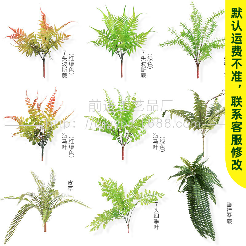 仿真植物蕨类植物波斯蕨排草植物墙搭配植物绿化工程绿植软装假花