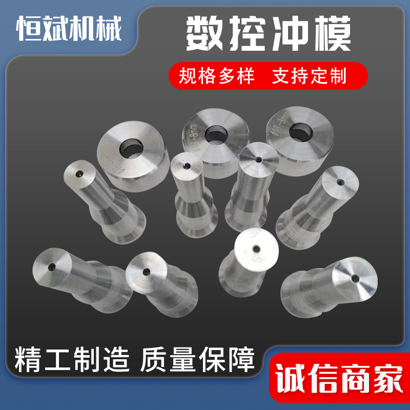 数控冲模  厂家供应数控冲孔模具不锈钢管冲孔模成型模