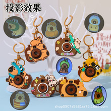 �羳��Ƥ����ͶӰ���C���������߹��Е��������HС�YƷ���l