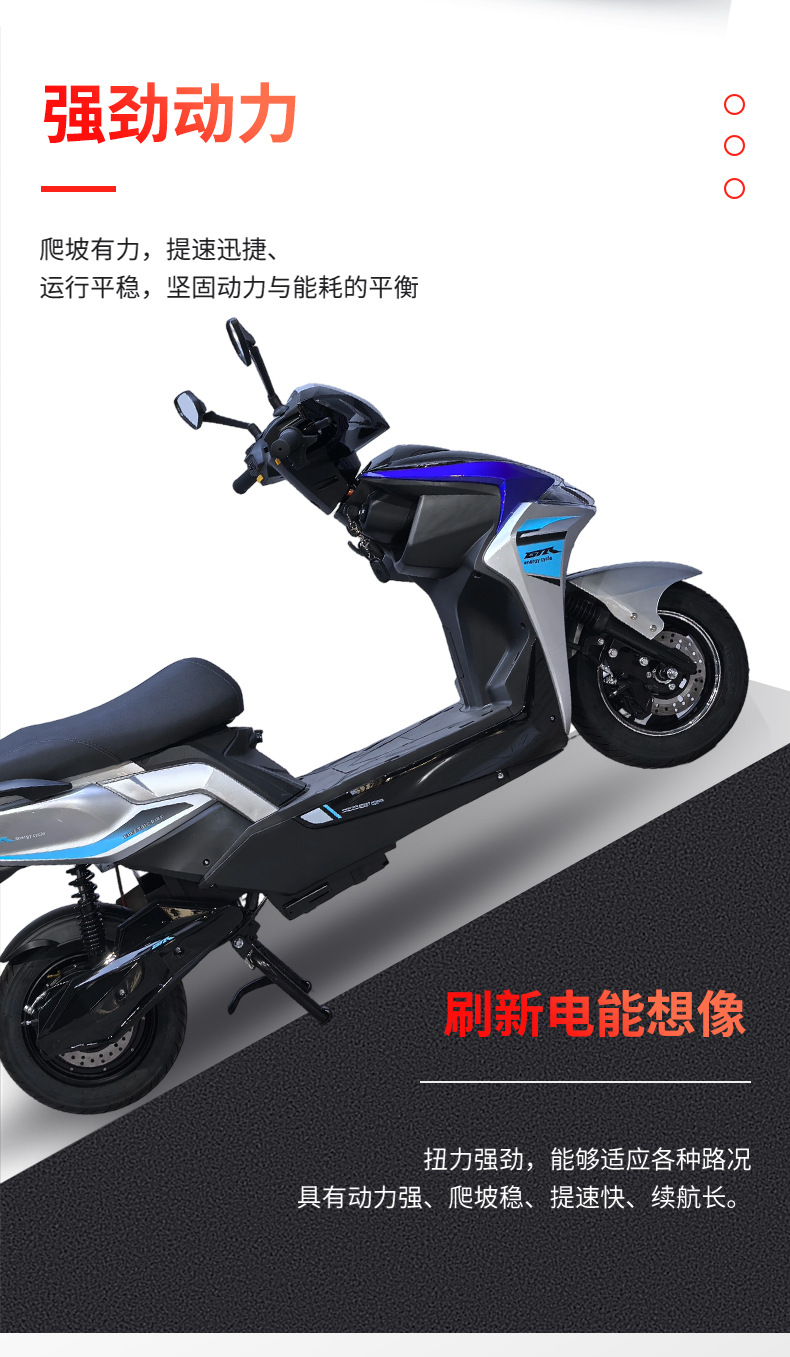 New Thunder King Electric Scooter Adult Pedal Electric Motorcycle