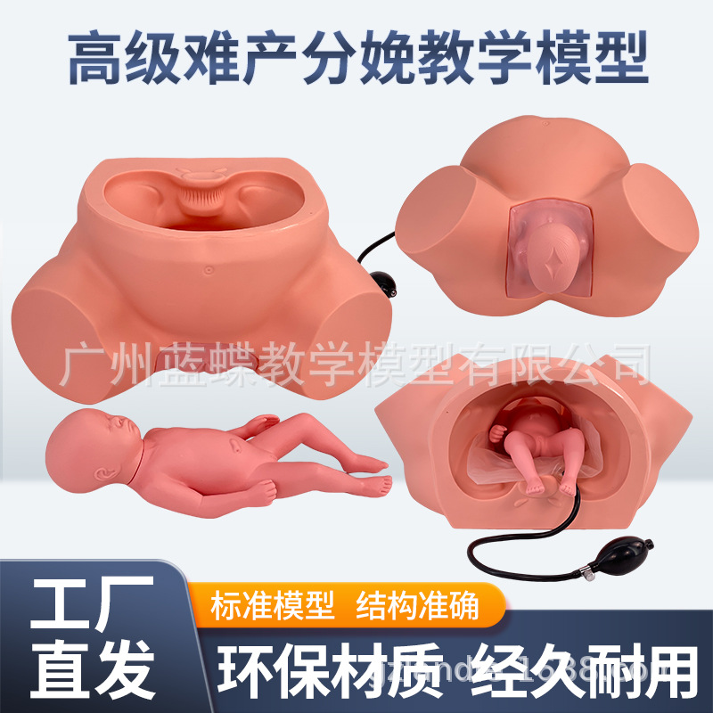 ����ʾ��ģ�� �߼��Ѳ�ʾ��ѵ��ģ�͸������Ѳ����������ѧģ��