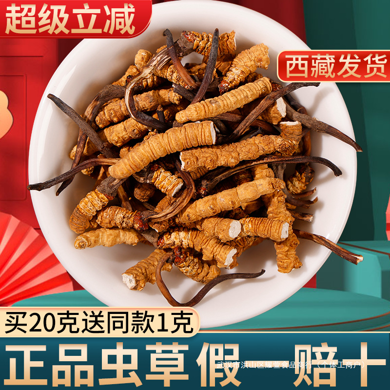 冬虫夏草断草正品头期大号断虫草新干货10克装官方旗舰店自用实惠