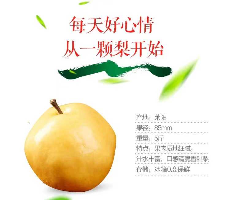 f9fe05de4f6e1995eef24859377a4b