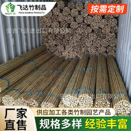 多规格竹子竹竿　农用竹竿装饰竹竿白竹竿加工竹毛竹篱笆