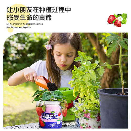 Children's diy hand-planted creative plants for kindergarten potted micro-gifts science experiment toys gifts wholesale