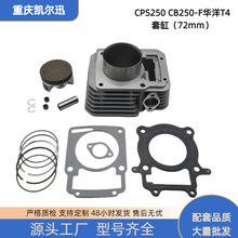 Ħ��܇�l�әC�׸��m���CB250-F�A��T4CPS250�׼��F؛