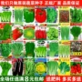 四季庭院盆栽大全种子