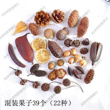 ɔ[յ߲ϰ׃@ɹɹMbɻDIYֹ