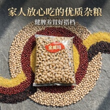 ���������۴�ü�������������� ����s�Z�ˌ������ϏS