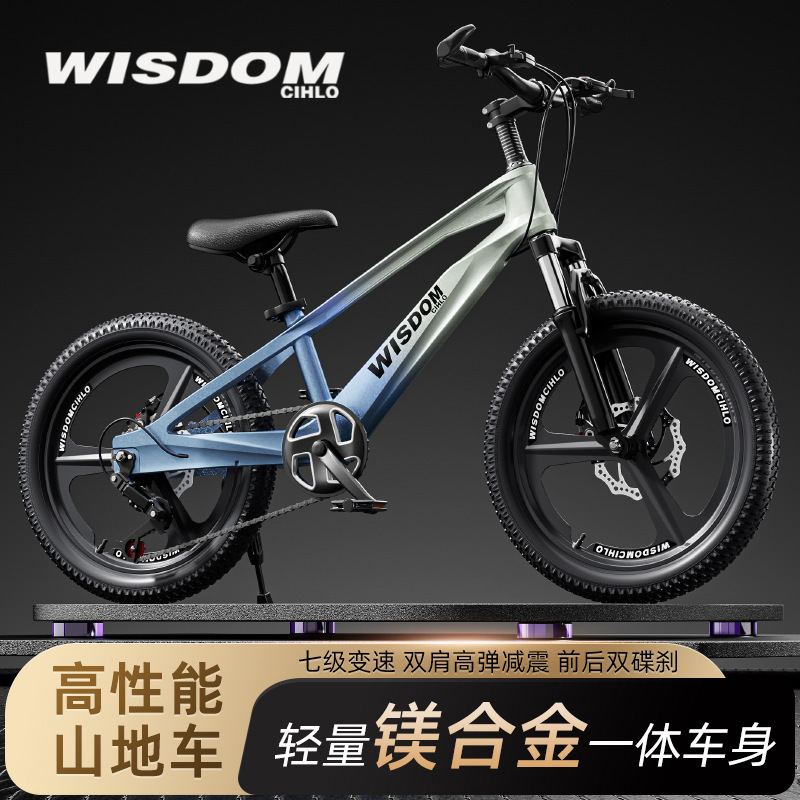 New Children's and Youth Bicycles for Boys and Girls Variable Speed Bicycles Magnesium Alloy Mountain Bike Disc Brake Shock Absorption Model