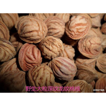 野生疏浅纹深龙纹桃核胡11-19mm佛珠手持项链挂手串雕刻原料按斤