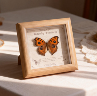 ������˱��b� ��Ʒ�[̨�ҾӔ[�����W�L���w�ֹ�diy���նY��Ʒ