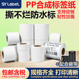 PP合成标签纸撕不烂防水标签40 50 60 70 80 100 PET贴纸空白PP纸