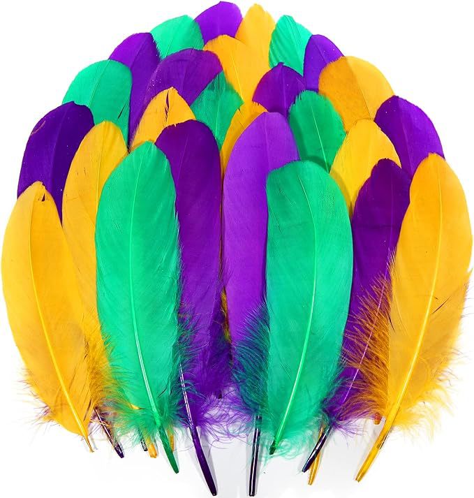 Fabricantes lotes plumas de ganso blanco natural plumas DIY artesanías accesorios de ropa de boda accesorios de decoración artesanal image 14