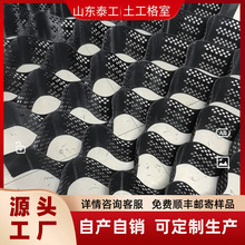 土工格室厂家 黄土湿陷路基风沙地区道路土工网格 HDPE土工格室