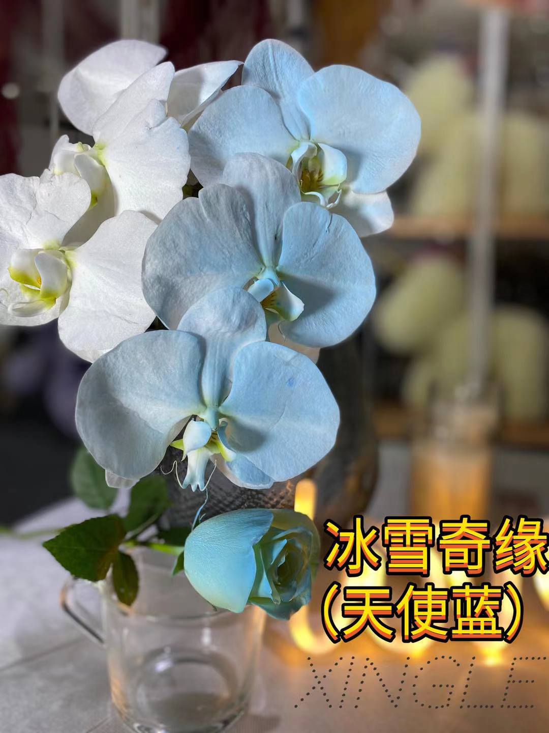 엔젤 블루의 큰 병