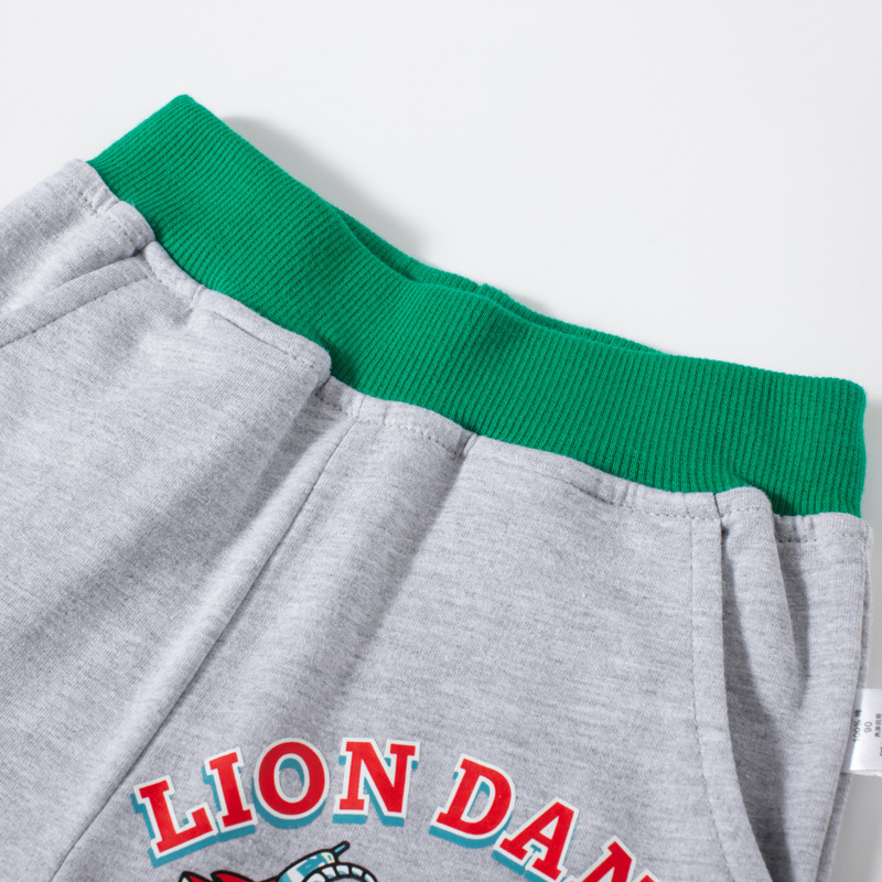 Nueva Ropa de Verano 2026 para Niños, Pantalones Cortos con Estampado de León, Estilo Chino, Pantalones Deportivos para Niños, Pantalones hasta la Rodilla, Venta al Por Mayor