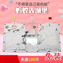 蚂蚁双城堡超大蚂蚁工坊科学试验教具生态箱蚁巢王国屋沙土窝蚁后