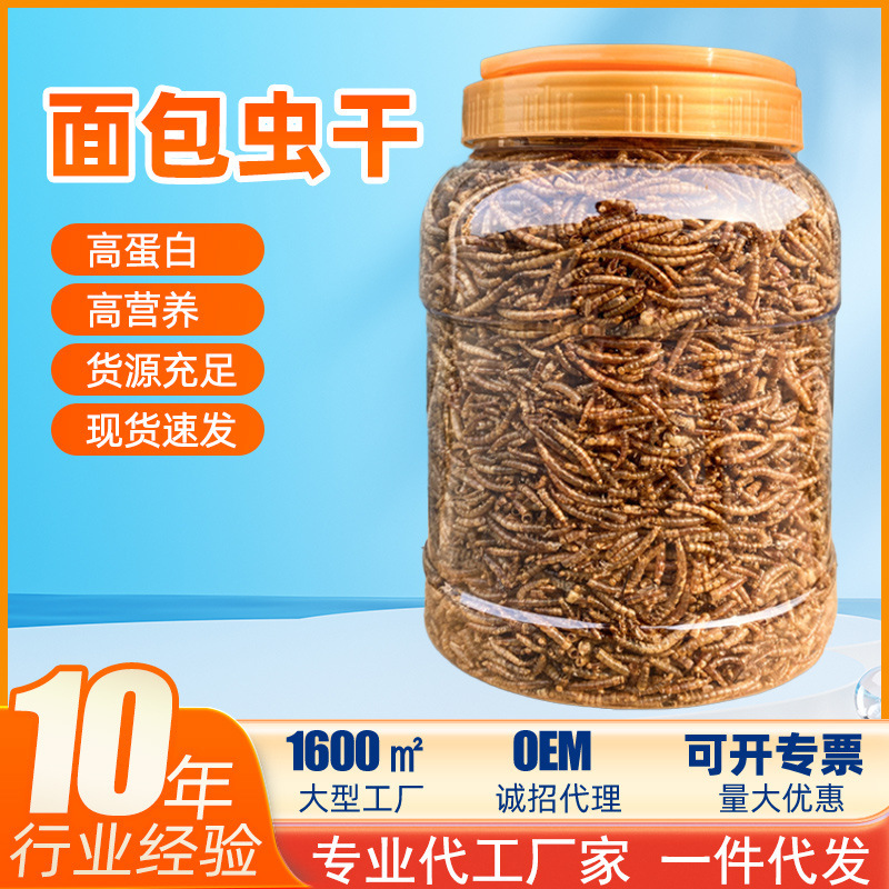 On behalf of the bread worm dry hamster food feed yellow meal worm parrot bird turtle golden bear feed hedgehog bird supplies main