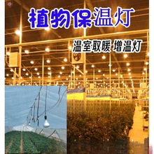 �»��܄�ֲ��̫ꖹⱣ�ؾGֲ�߲˟�������Ҽt�⾀��ȡů���؟��o